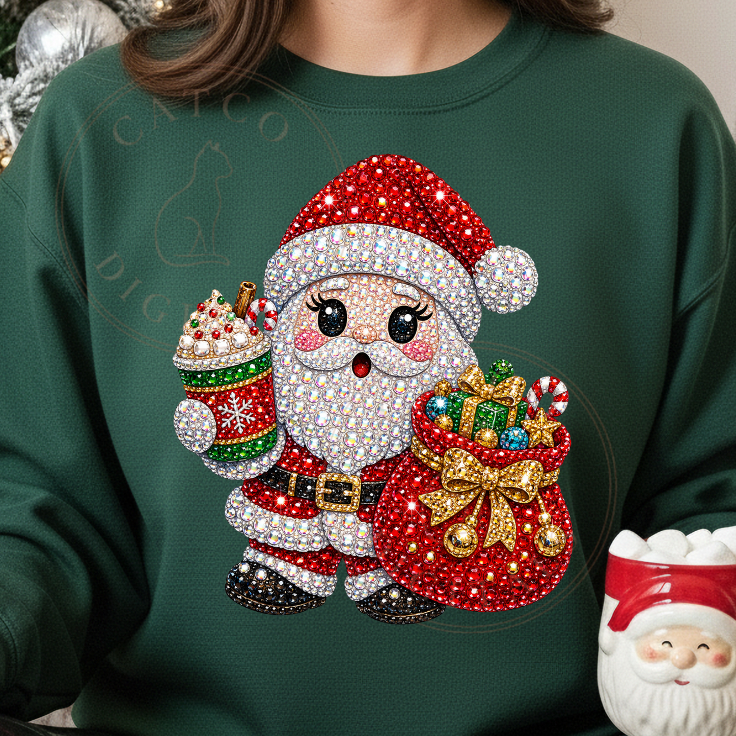 4055 - Santa