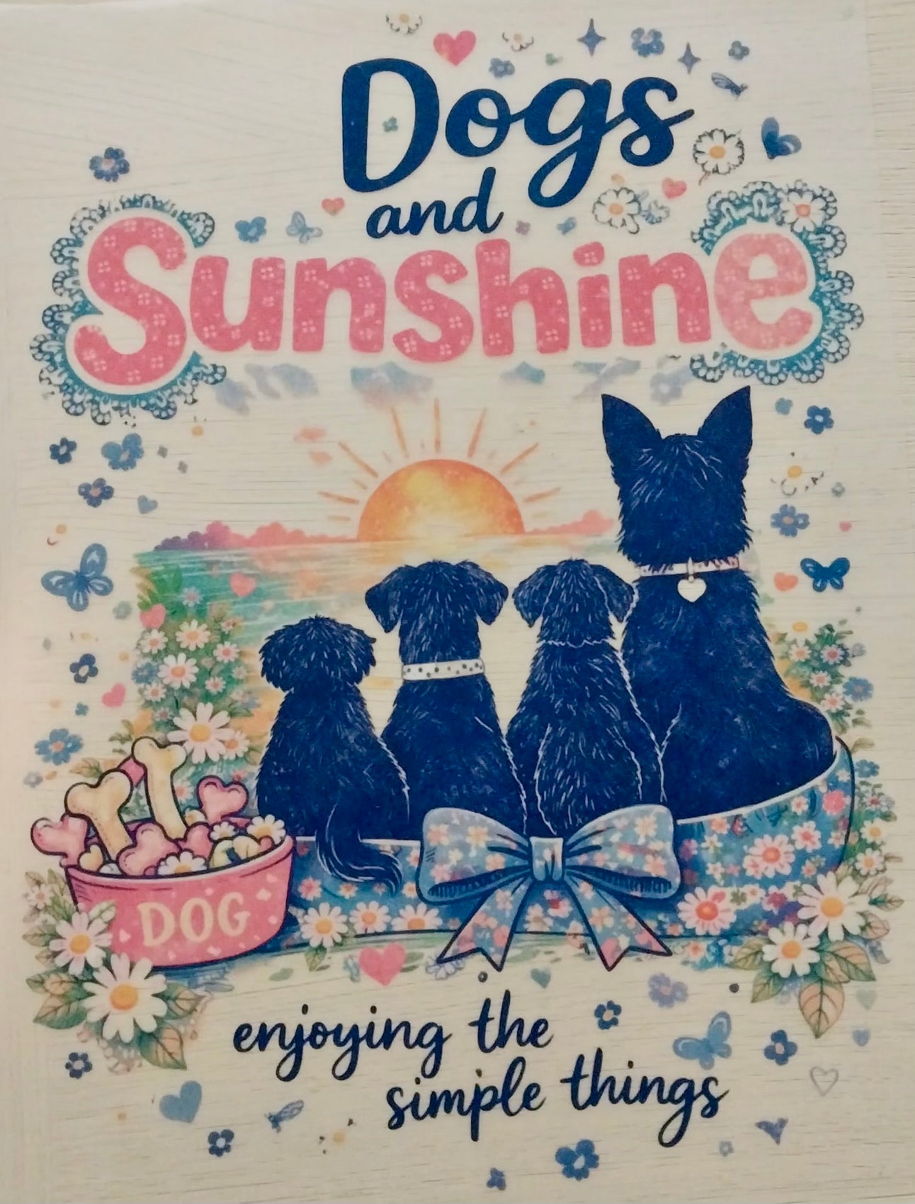 Dogs & Sunshine