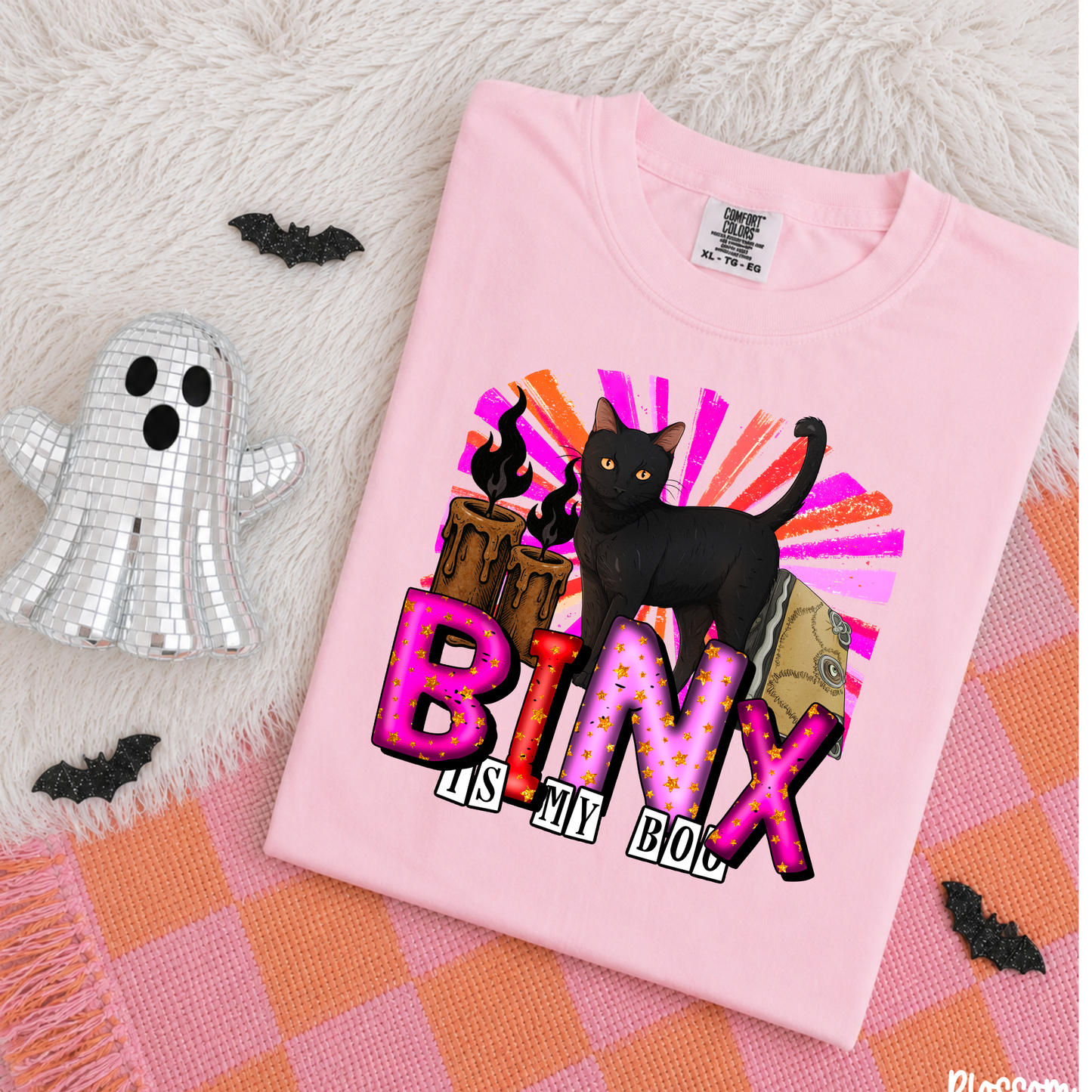 4027 - Binx is my Boo