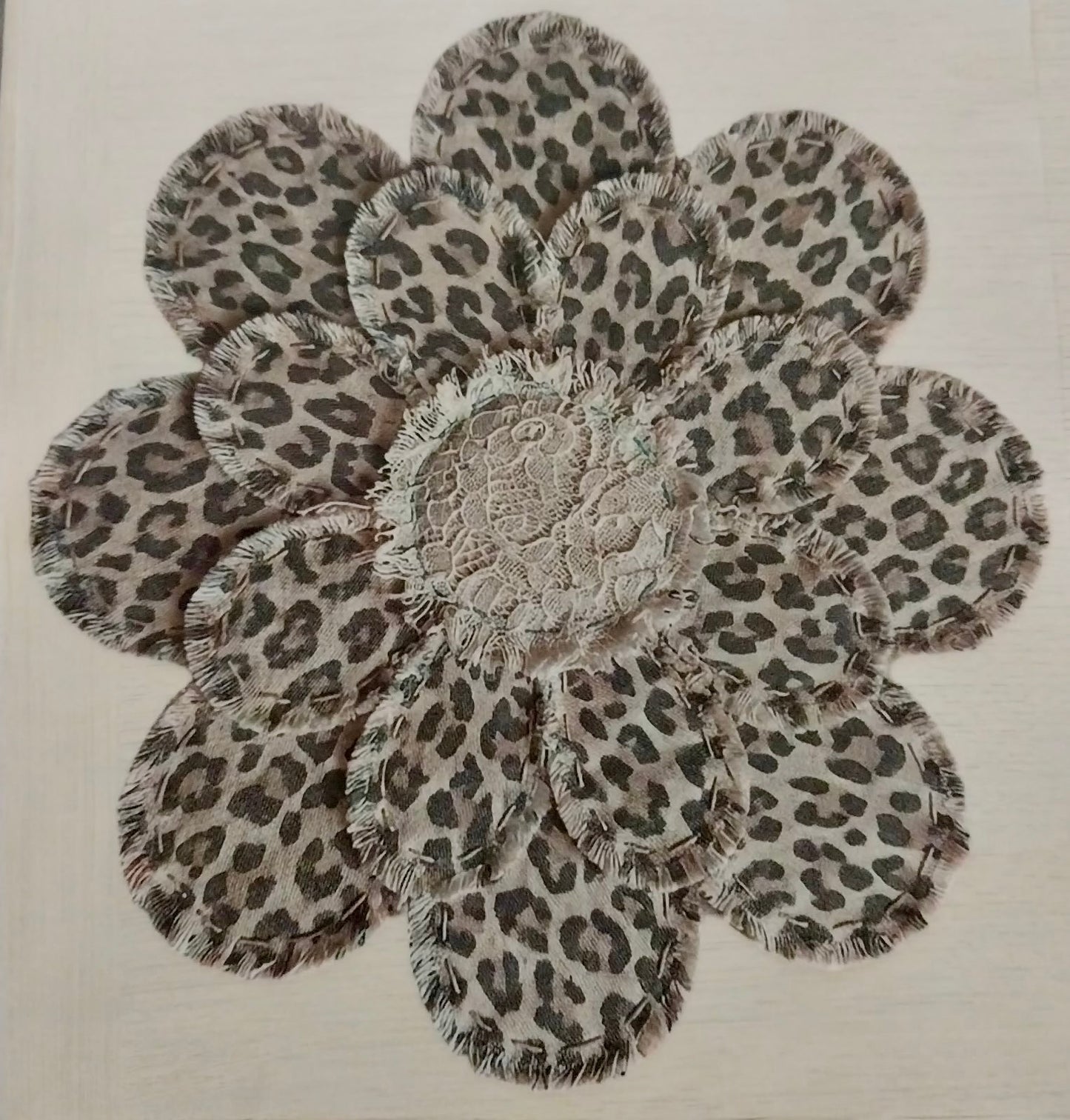 Leopard Daisy