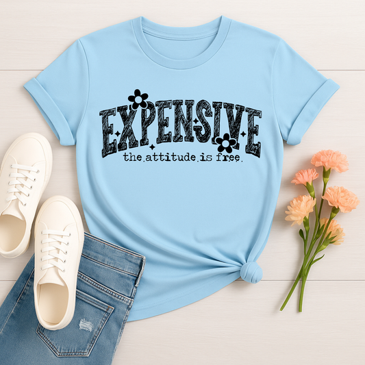 3441 - Expensive