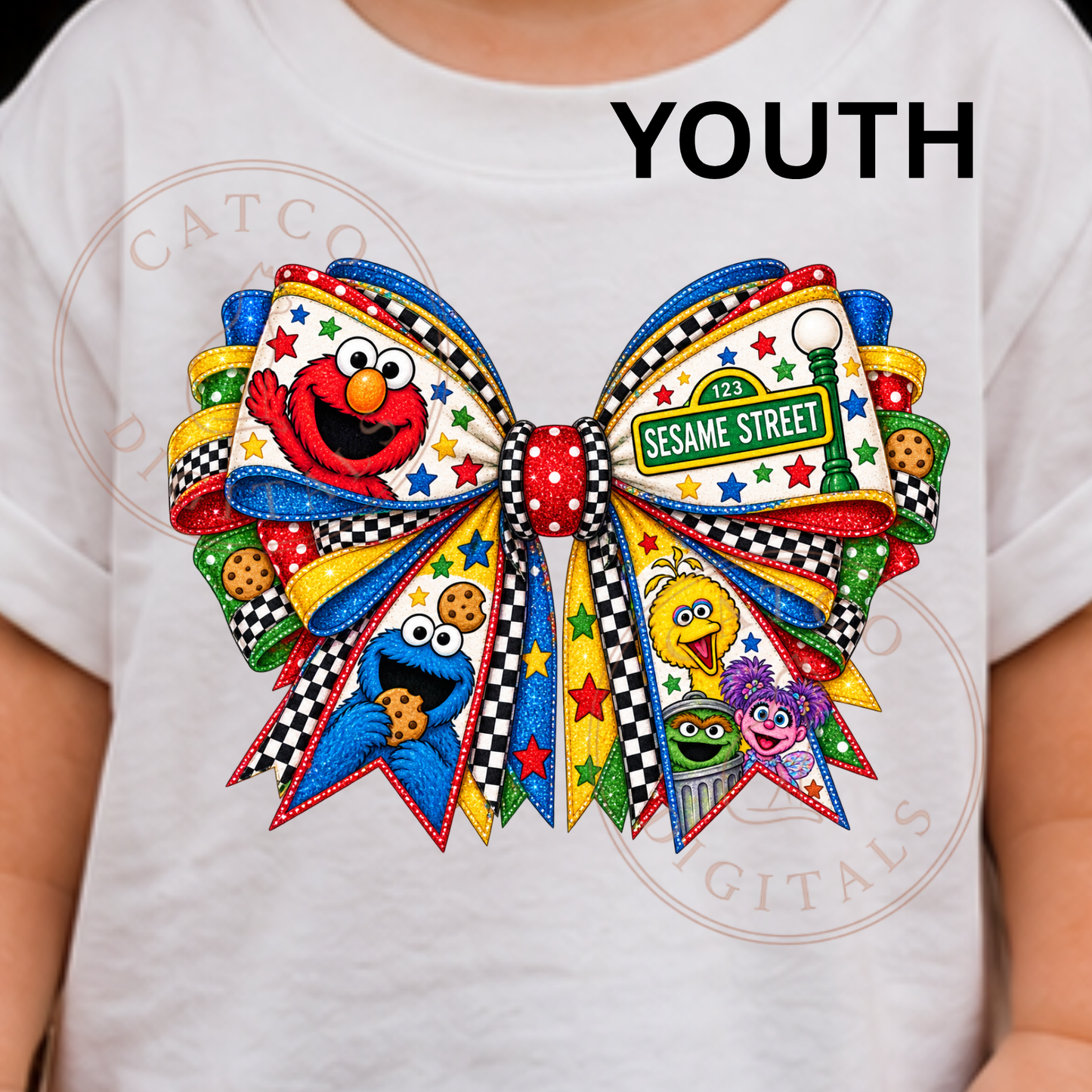 4103 - Youth Sesame street