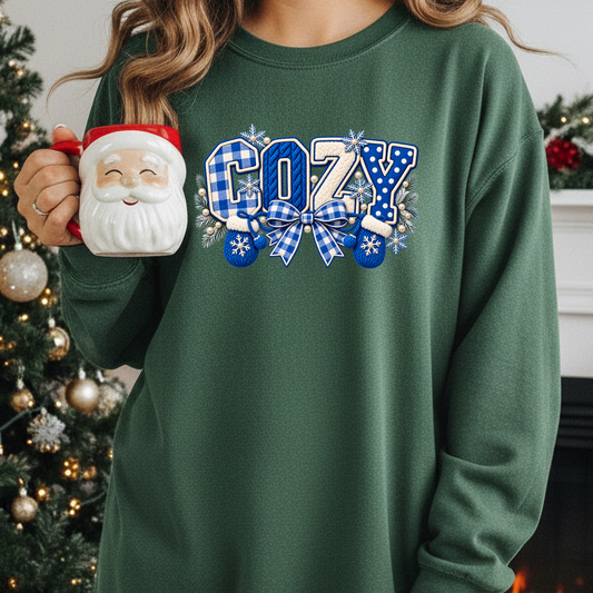 4247 - blue cozy